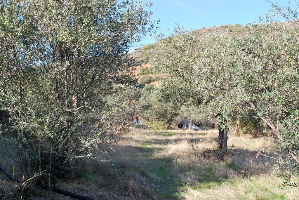 Vavla Rustic Retreat Hostal Exterior foto