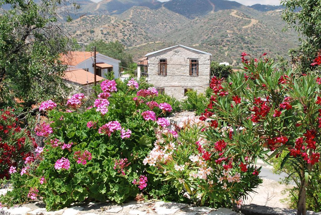 Vavla Rustic Retreat Hostal Exterior foto